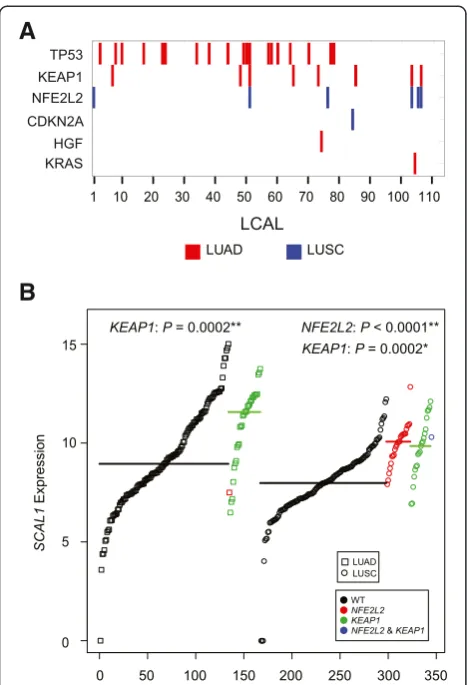 Figure 6 Association between LCAL expression and mutationmutant (green), and bothData points are ordered by expression levels and symbols designatecohort (squares for LUAD, circles for LUSC)