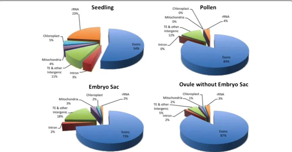 Figure 2 Distribution of RNA-seq reads to different genomic features in maize. The frequency of the reads mapping to transposableelements and other intergenic sequences (TE & other intergenic), ribosomal RNA genes (rRNA), other nuclear annotated gene model
