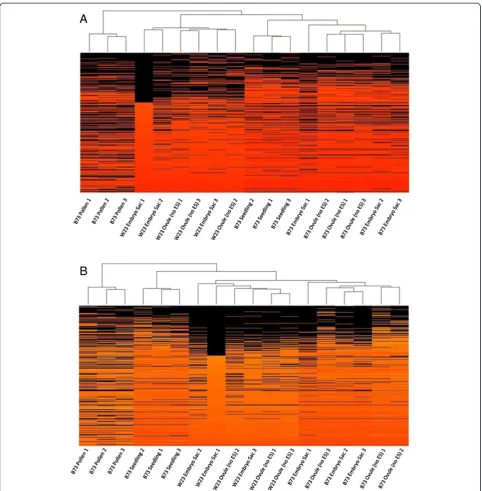 Figure 4 Hierarchical clustering of replicates based on expression profiles using the R statistical package