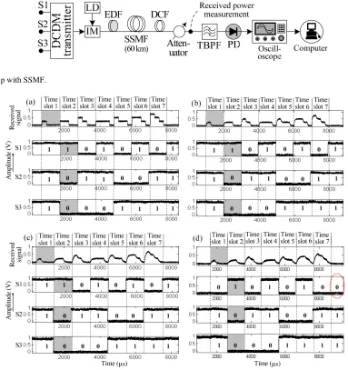 Fig. (3). Setup with SSMF.  