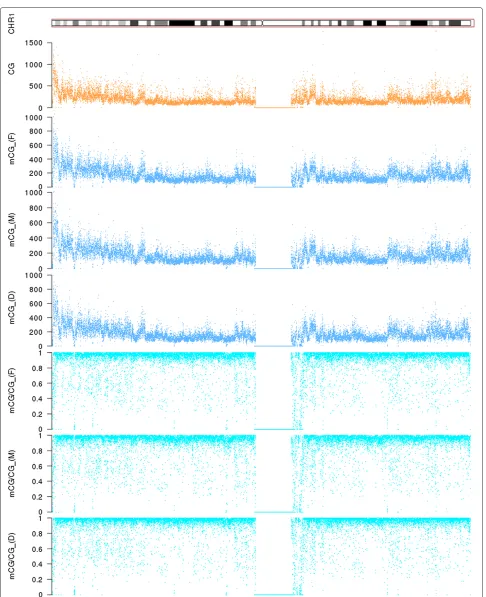 Figure 1 DNA methylation profiles of the three individuals based on 10 kb sliding windows on chromosome 1