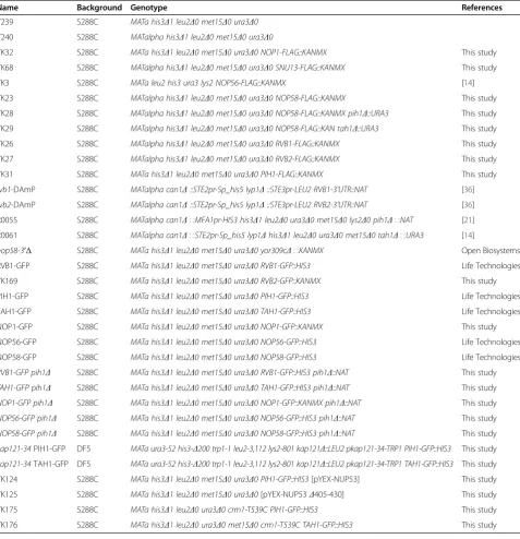 Table 1 Yeast strains used in this study