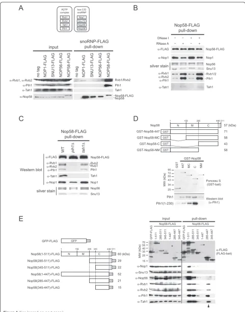 Figure 1 (See legend on next page.)