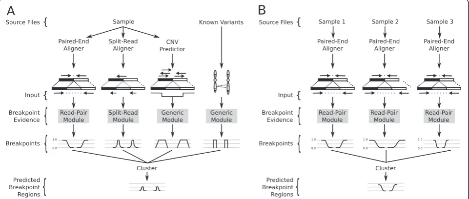 Figure 1 The LUMPY framework for integrating multiple structural variation signals. (A) A scenario in which LUMPY integrates threedifferent sequence alignment signals (read-pair, split-read and read-depth) from a genome single sample