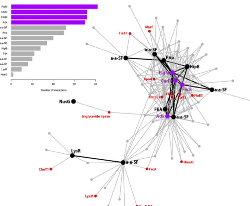 FIG 3 Major coexpression network. The figure shows the biggest coexpression network (network 1 in Fig