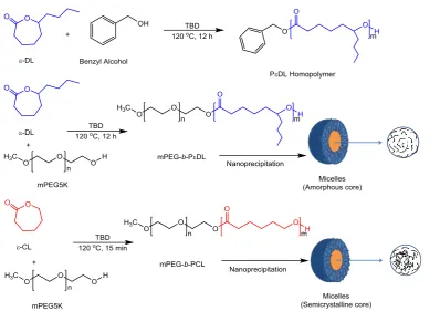 Figure 1  Structure of ε-decalactone (ε-DL, renewable) and ε-caprolactone (ε-CL , non-renewable) monomers 