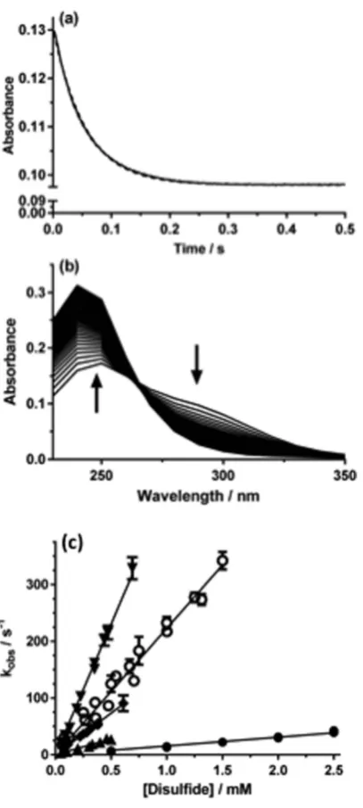 Figure 1. (0.5 mM) in phosphate buffer (0.1 M, pH 7.4) at 22 °C, with the corresponding exponential fit (dotted line)