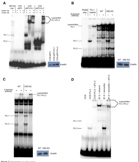 Figure 7 (See legend on next page.)