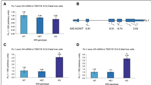 Figure 1 Transcripts containing exons towards the 3′ end of Pu.1 are upregulated in Klf3−/− E14.5 TER119+ fetal liver cells