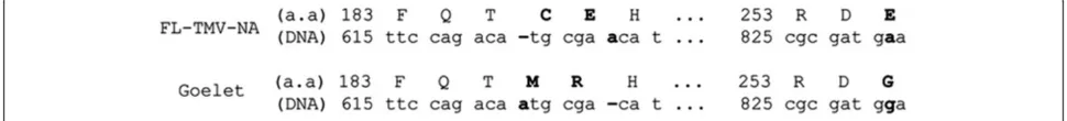 Figure 2 Sequence polymorphisms between the Goelet sequence and FL-TMV-NA. Alignment of DNA nucleotides from positions 615 to632 and 825 to 833