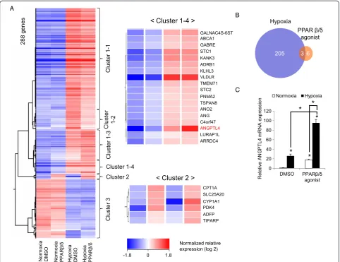 Figure 2 Genome-wide analysis of PPARβ/δ and/or hypoxia-induced genes in endothelial cells identified ANGPTL4 as the commontarget gene
