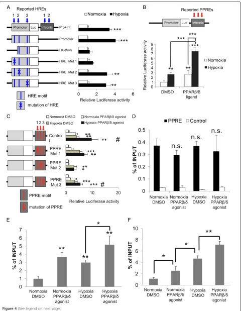 Figure 4 (See legend on next page.)