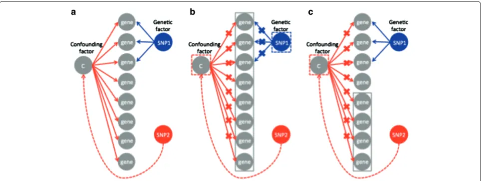 Figure 1 GraphicalFigures: format model of ICE and NICE with correction for confounding effects