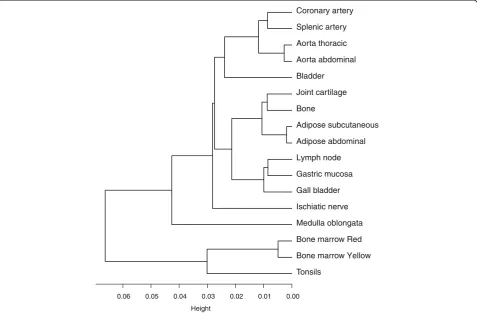 Figure 2 Hierarchical clustering of the 17 tissues studied. Hierarchical clustering analysis was performed using the hclust command in R