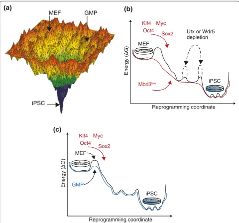 Figure 1 Energy landscape models for iPSC reprogramming. (a)reprogramming conditions. The funnel-like energy landscape represents the path from somatic cell states (for example, MEF and GMP) at theboundaries of the funnel, to the pluripotent state at the m