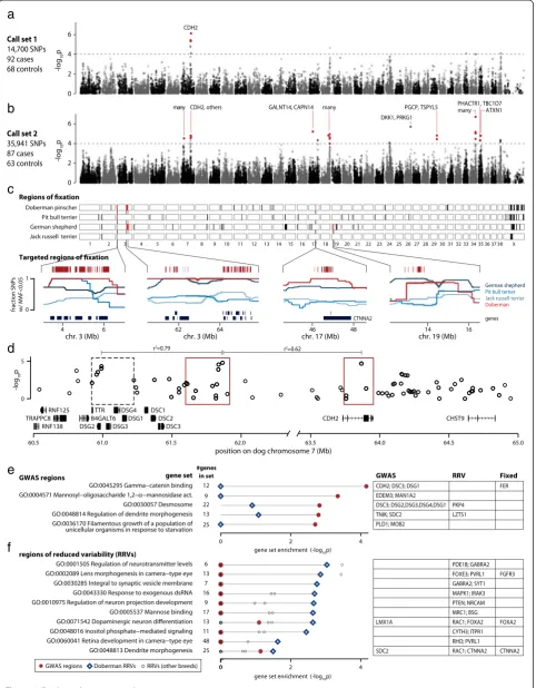 Figure 1 (See legend on next page.)