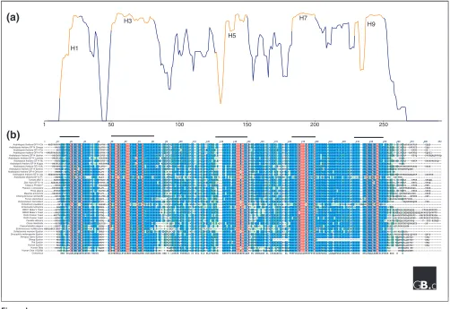 Figure 1Conservation of 14-3-3 proteins. (a) A graph of percentage similarity derived from (b), which shows a multiple sequence alignment of 40 selected 14-3-3