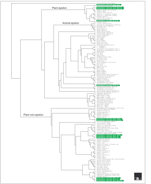 Figure 2 (see the legend on the previous page)