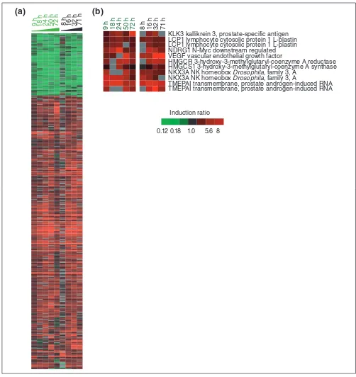 Figure 1Transcriptional program activated by R1881 exposure in LNCaP cells.treated with R1881