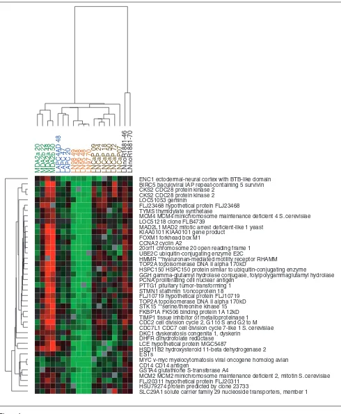 Figure 4A cluster of genes with distinct patterns of modulation in LNCaP cells compared with other prostate cancer cell lines