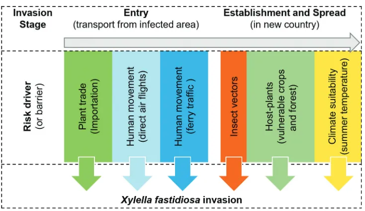 Figure 2. Overview of the invasion process of Xylella fastidiosa into a new country, based on the general framework of Blackburn et al