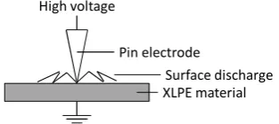 Figure 2.Test object for surface discharge experiment