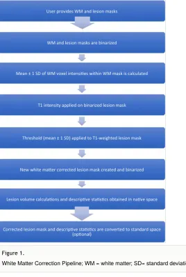 Figure 1. White Matter Correction Pipeline; WM = white matter; SD= standard deviation