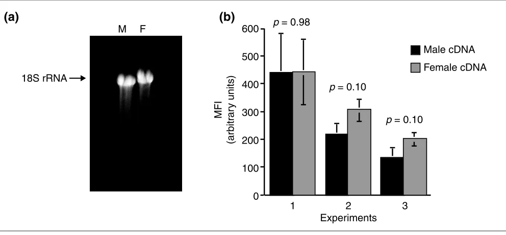 Figure 1High-quality total RNA was isolated from adult male and female schistosomes and reverse transcribed into cDNA which hybridized with equal affinity to[58]