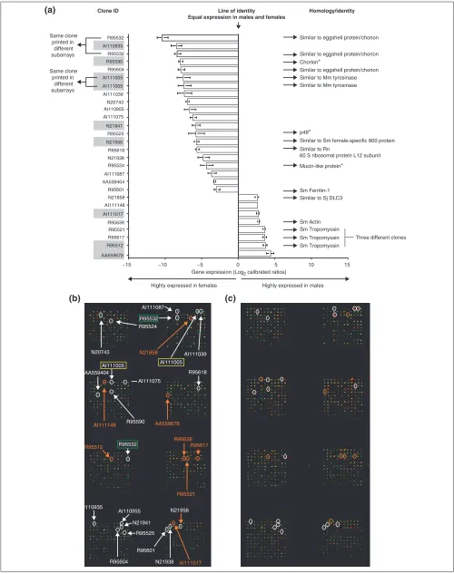 Figure 3 (see legend on the next page)