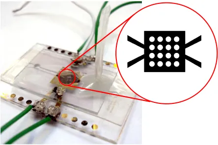 Figure 2.  The BioMEMS application assembly, with the schematic design of the electrode overlaid  