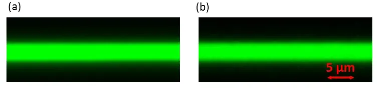 Figure 2. Section images, obtained by confocal laser scanning microscope, of multilayer films 