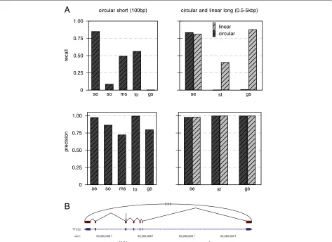 Figure 2 Recall and precision for short circular, long circular and long collinear transcripts.slightly better thanandtranscript is an example of a simulated circularization