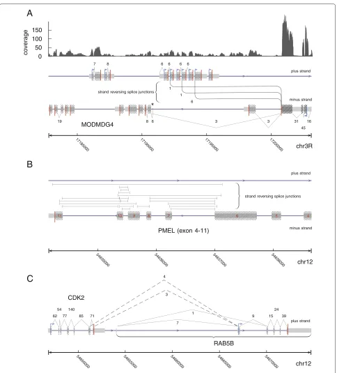 Figure 3 Examples of (re-)discovered splicing events from single-end split reads. (A) For Drosophila melanogaster, segemehl recoveredthree different previously described splice junctions linking the minus encoded exon three of MODMDG4 on chromosome 3R to e