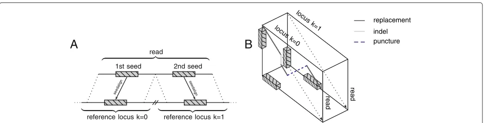Figure 5 A chain of seeds guides a local transition alignment across multiple genomic loci.loci, strands or chromosomes(B) High-quality seeds mapping to different genomic (A) are chained