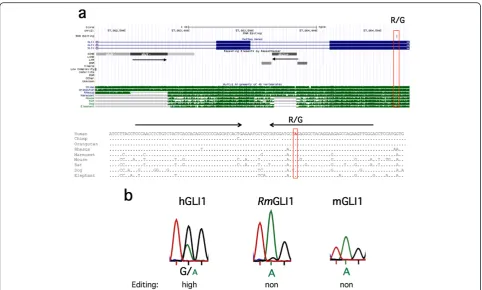 Figure 6 Inverted Alus and site-selective editing in GLI1. (a) UCSC genome browser view