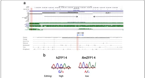 Figure 7 Inverted Alu elements and site-selective editing in ZFP14. (a) Top: UCSC genome browser view