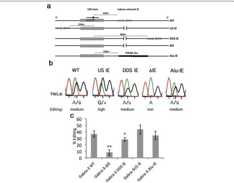 Figure 1 Analysis of editing efficiency at the I/M site in Gabra-3 editing reporters in HeLa cells