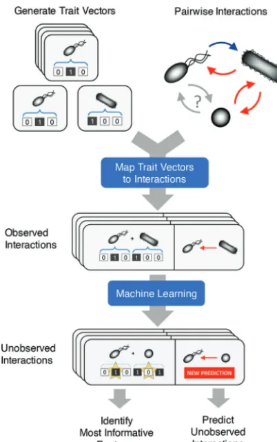 FIG 1Schematic representation of our machine learning approach for inferring interactions amongmicrobes