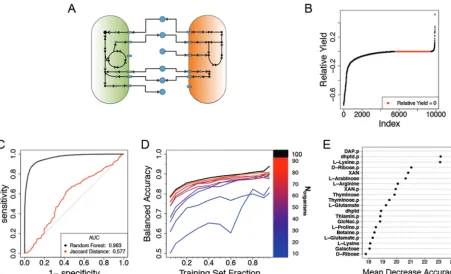 FIG 2 Classiﬁcation of pairwise interactions for andetermined by mean decrease in accuracy