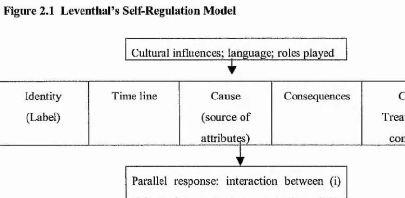 Figure 2.1 Leventhal s Self-Regulation Model