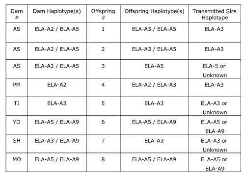 Table 1. Inheritance patterns of predicted MHC class I haplotypes in a mixed half- and full-sibling Thoroughbred horse family