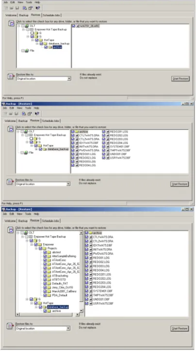 Figure 3-4  Hot Tape Backup Set Structure
