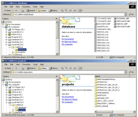 Figure 3-5  Cold Drive Backup Set Structure