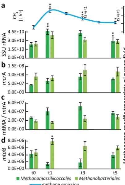 FIG 6 Methane and methanogen transcript dynamics during plant biomass degradation. (a) Methanerespectively
