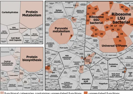 FIG 3 Global functional response of rumen microbiome to ruminant feed intake. Boxes show the mean relative abundances of all annotated mRNAs of eightrumen metatranscriptomes (t0 and t1 metatranscriptomes) in a hierarchical way