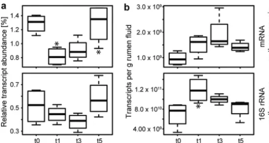FIG 4Comparison of relative and quantiﬁed transcript abundances of methanogens. Relative andquantiﬁed transcript abundances of methanogenesis-speciﬁc mRNA (upper box plots) and SSU rRNA ofmethanogens (lower box plots) are depicted in panels a and b, respec