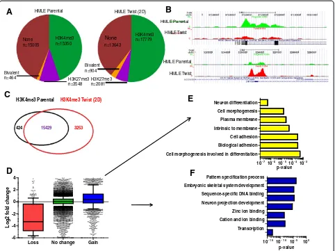 Figure 2 H3K4me3 dynamic modifications are coupled with transcriptional changes related to epithelial-mesenchymal transitiongenes