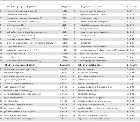 Table 1. Top 15 functions of the genes up- or down- regulated in TR2/S4+ and early EB cells.