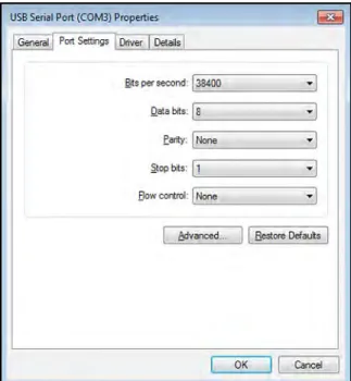 Figure 2: USB Serial Port Properties