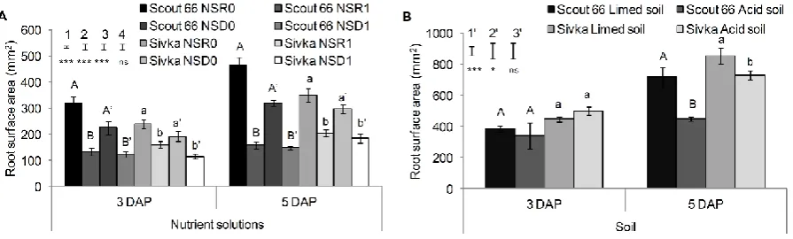 Figure 4. Comparison of root surface area of wheat cultivars Scout 66 and Sivka grown in Al treatment solutions (NSR1 and NSD1) and control nutrient solutions (NSR0 and NSD0) (A) and in acid and limed soil (B)